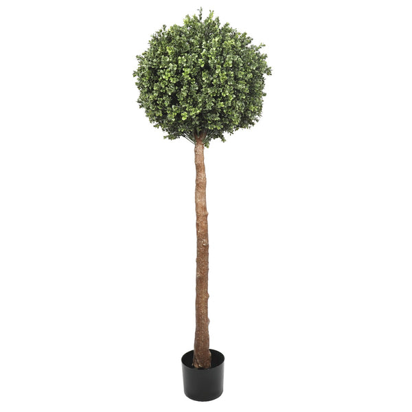 Single Ball Topiary Tree – 150cm Indoor/Outdoor-NexHomeDecor