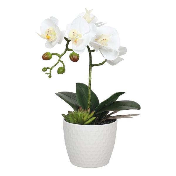White Orchid 35cm with Decorative Pot-NexHomeDecor