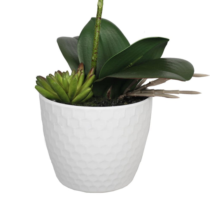 White Orchid 35cm with Decorative Pot-NexHomeDecor